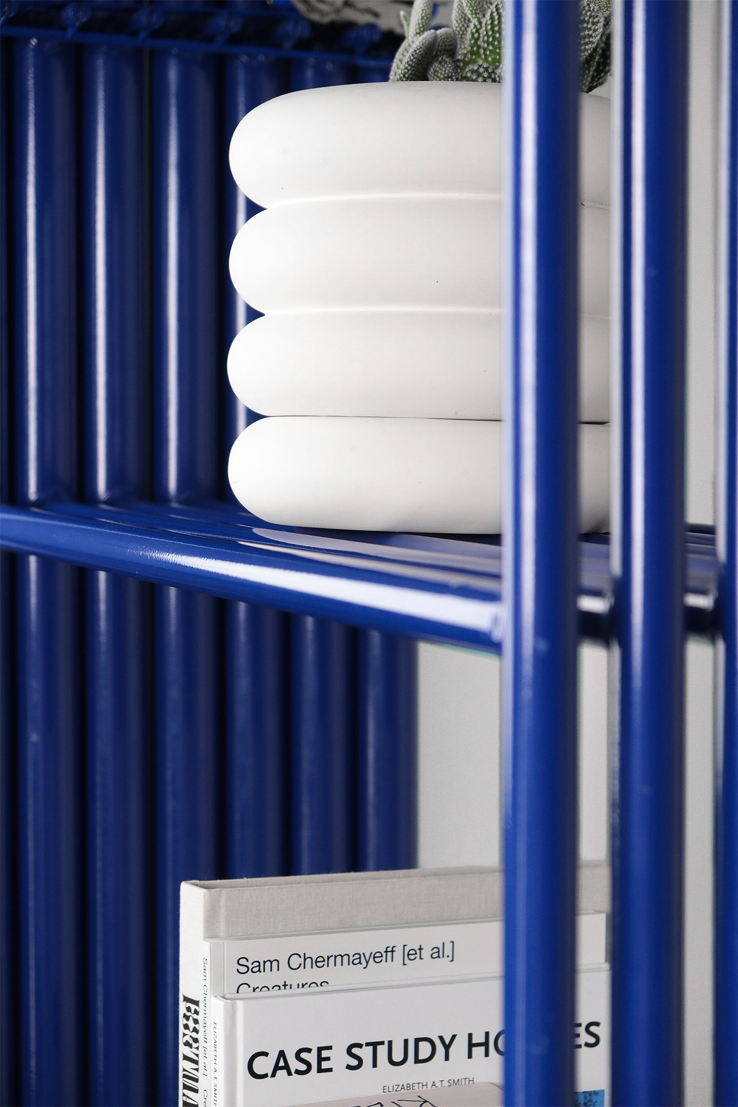 scaffolds shelf